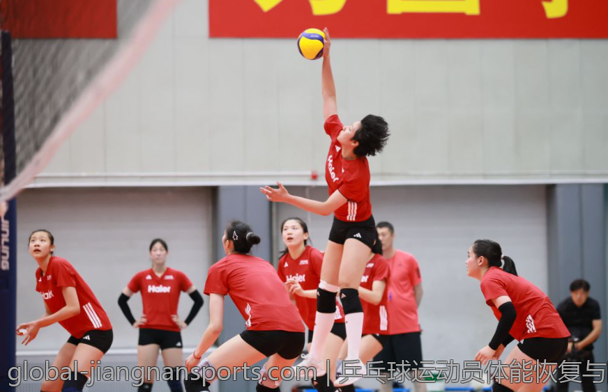 乒乓球运动员体能恢复与防护技术指南
